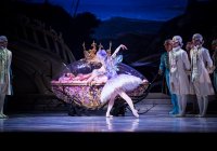 The Australian Ballet The Sleeping Beauty