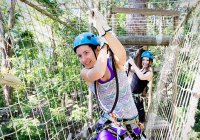 Treetop Challenge Photo From Currumbin Wildlife Sanctuary