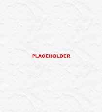 Placeholder Placeholder